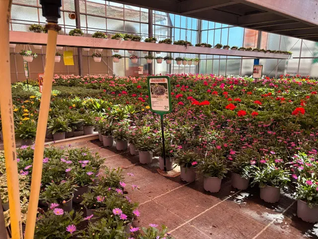 Foto: Manuela Danzinger