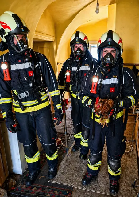 Mann anfangs vermisst, Huhn gerettet