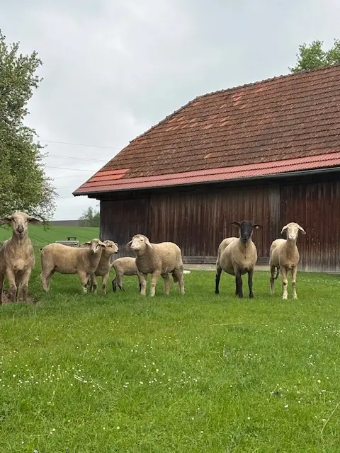 Foto: Franz Geisler