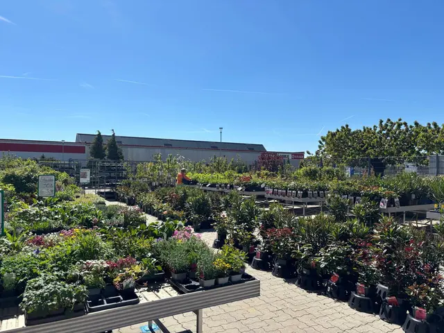 Foto: Manuela Danzinger