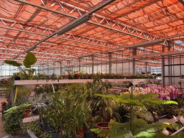 Foto: Manuela Danzinger