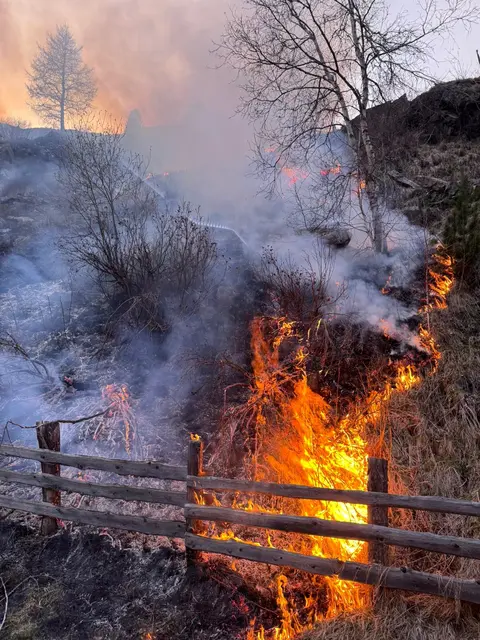 Hohe Waldbrandgefahr: Tirol erlässt strenges Feuerverbot