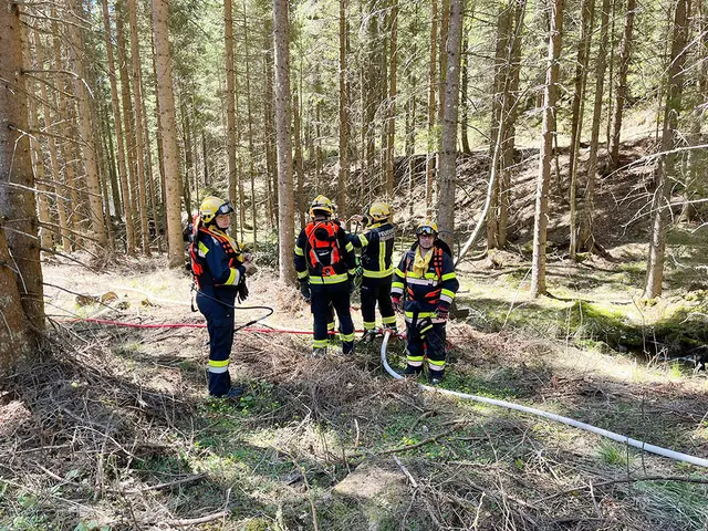 321 Einsatzkräfte probten Ernstfall im Bezirk Deutschlandsberg