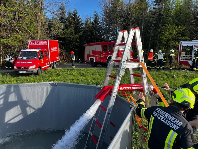 Foto: Bezirksführungsstab Wr Neustadt S5, Tobias Hübl, Teilnehmende Feuerwehren