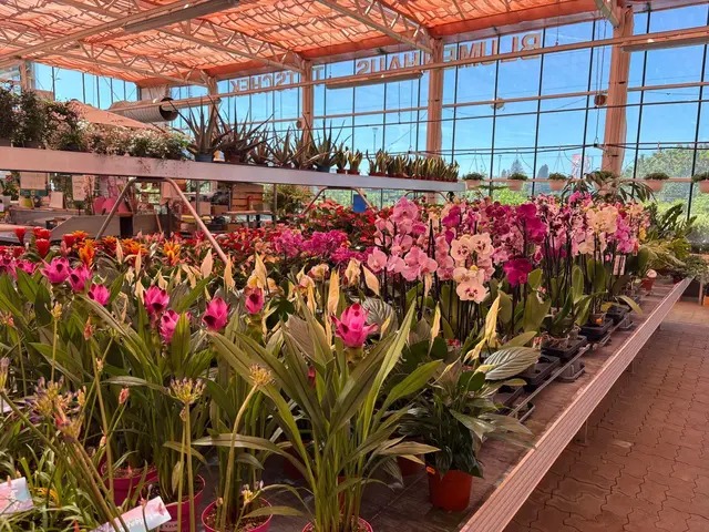 Foto: Manuela Danzinger