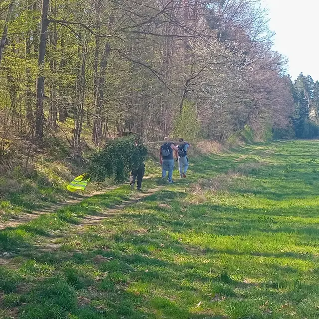 Der Maibaum wurde eigenhändig bis nach Horn getragen, insgesamt 15 Kilometer Strecke. | Foto: Fahrtendienst Kierberger GmbH