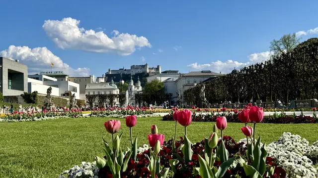 Der Frühling ist längst in Salzburg eingezogen. 