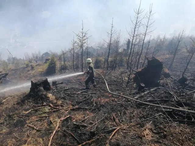 Foto: Landesfeuerwehrverband Kärnten