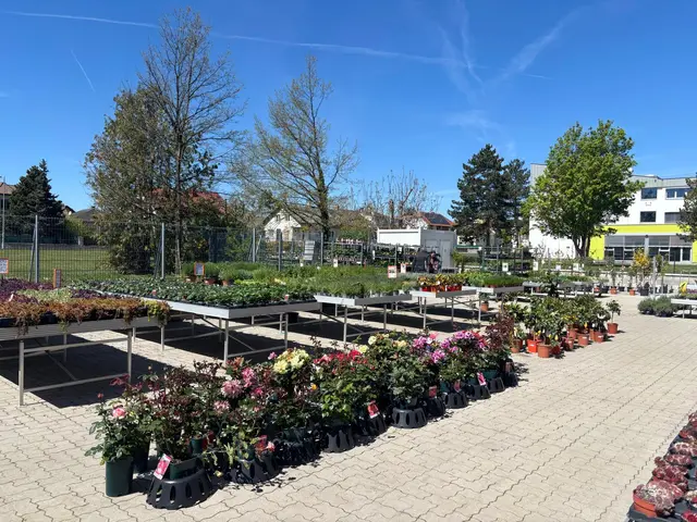 Foto: Manuela Danzinger