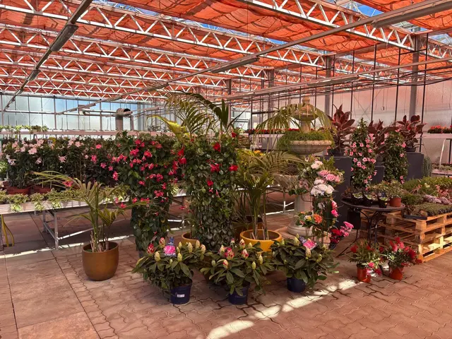 Foto: Manuela Danzinger