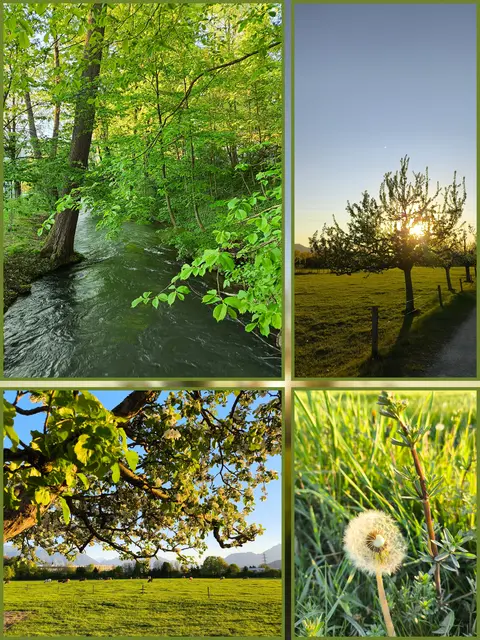 Beim gestrigen Abendspaziergang  | Foto: Martina Laserer