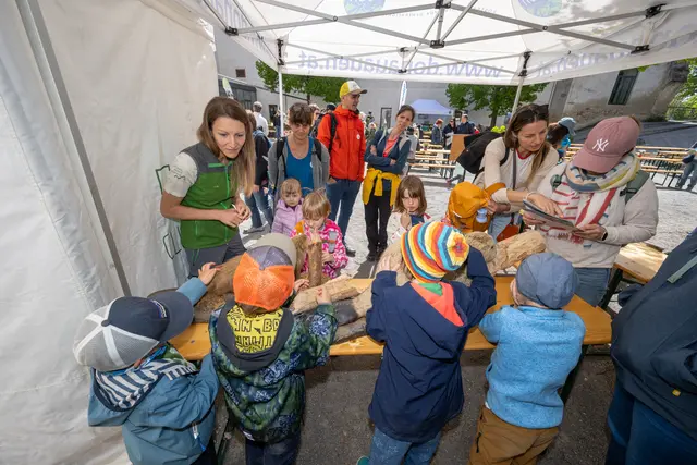Das Familienfest war vor allem bei den Kleinen ein voller Spaß.  | Foto: Kovacs