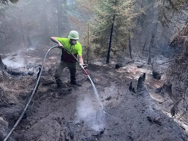Foto: Landesfeuerwehrverband Kärnten