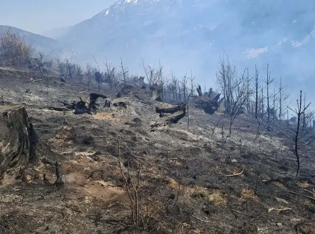 Foto: Freiwillige Feuerwehr Jadersdorf