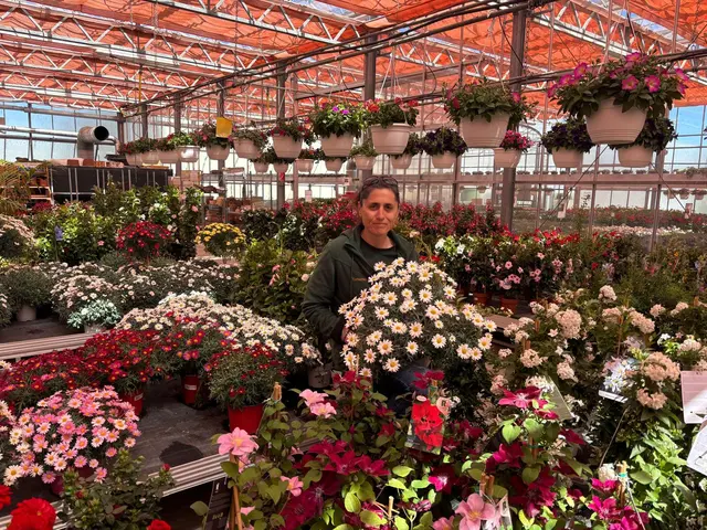 Am 1. Mai findet bei der Firma Tutschek erneut ein Tag der offenen Gärtnerei statt.  | Foto: Manuela Danzinger