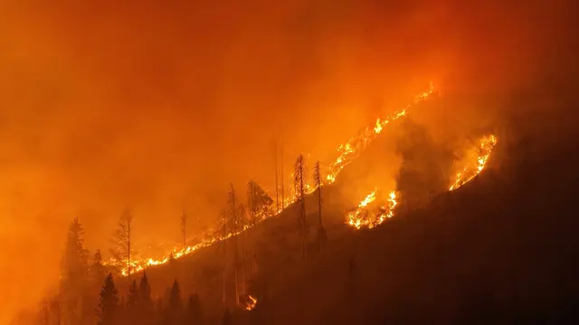 Foto: LM Matthias Warmuth