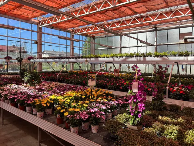 Foto: Manuela Danzinger