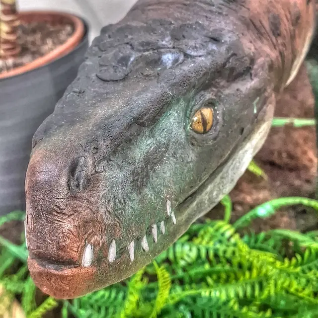 Zeige uns deine schönsten Schnappschüsse