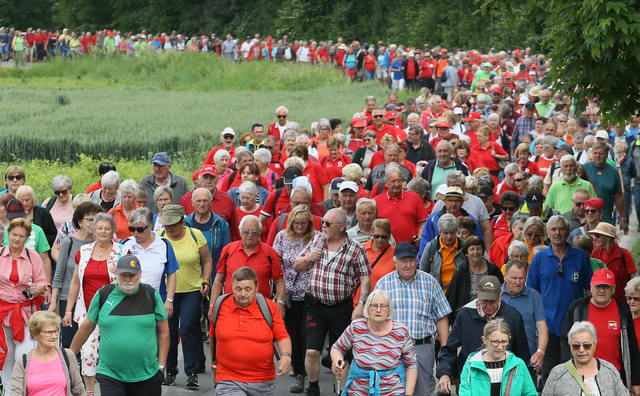 Der Pensionistenverband rechnet auch heuer wieder mit rund 2.000 wanderbegeisterten Pensionisten aus dem ganzen Burgenland. | Foto: PVÖ