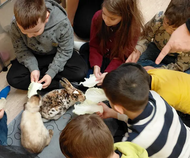 Im Kuschelzoo lernen die Kinder den Umgang miteinander und mit ihrer Umwelt.  | Foto: S. Buchhalt