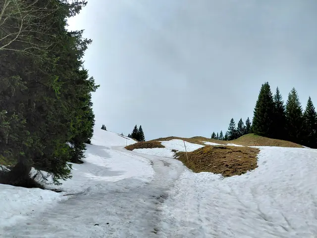 Ein Blick zurück  | Foto: H.Bachinger