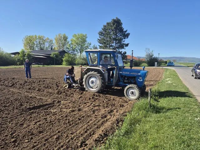 Foto: Bernhard Herics