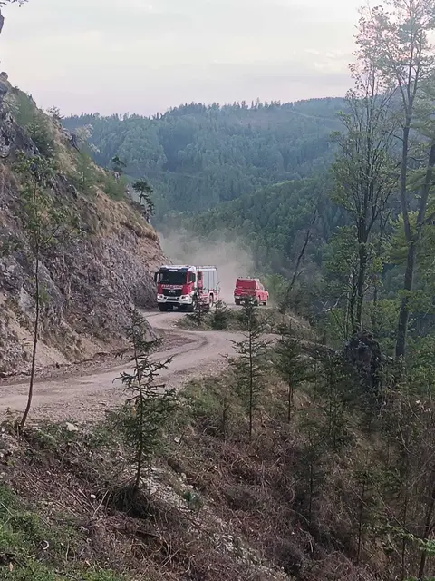 Foto: BFV Murau ( EOLM Walter HORN, OBI Manuel ESTERL, OBI Mario STOCK)