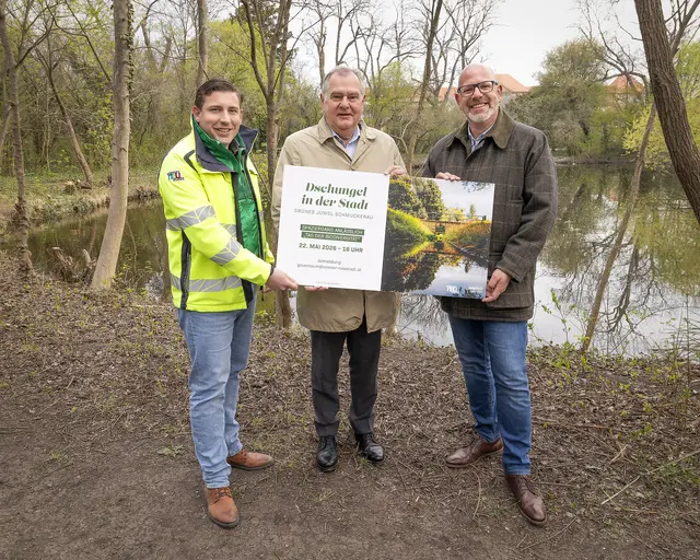 Grünraum-Leiter Florian Fux, ÖVP-Stadtrat Franz Dinhobl und SPÖ-Umweltstadtrat, Biodiversitätsbeauftragter Norbert Horvath. | Foto: Stadt Wiener Neustadt/Weller