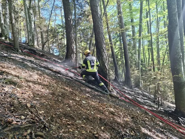 Sechs Hektar Fläche wurden bearbeitet und der erteilte Auftrag umgesetzt. | Foto: BFVMZ