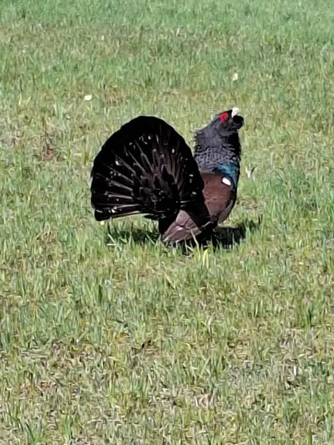Sein Rad hat der Auerhahn auch den Schülern gezeigt. | Foto: privat