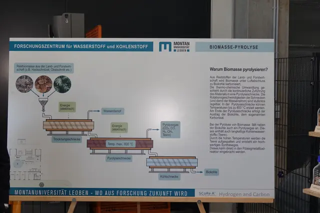 Foto: MeinBezirk/Michael Blinzer