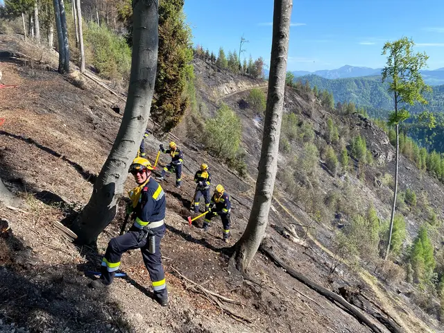 Unsere Feuerwehren standen im Bereich des Mühlbachkogels im Einsatz. | Foto: Thomas Zeiler