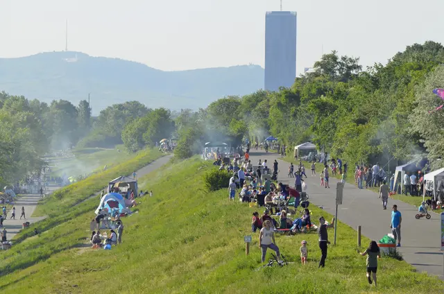 Während der Grillsaison stellt die Stadt Wien insgesamt acht kostenlose Grillplätze und -zonen zur Verfügung. (Archiv) | Foto: APA-Images / Willfried Gredler-Oxenbauer