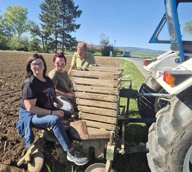 Auf einem großen Feld werden neben Kartoffeln auch andere Gemüsesorten angebaut. | Foto: Bernhard Herics