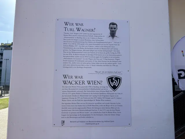 Eine Erinnerungstafel mit Informationen zu Turl Wagner und dem SC Wacker Wien wurde am Platz angebracht. | Foto: Marlene Graupner/MeinBezirk