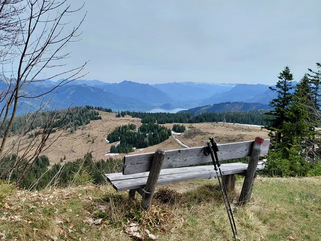 Kleiner Ausblick auf den Wolfgangsee  | Foto: H.Bachinger