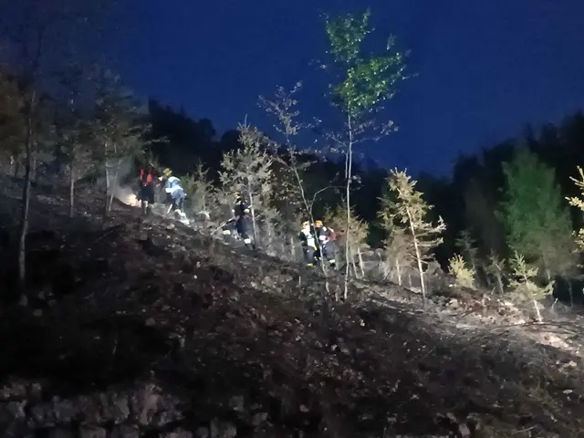 Auch in der Nacht wurde gelöscht. | Foto: BFV Murau ( EOLM Walter HORN, OBI Manuel ESTERL, OBI Mario STOCK)