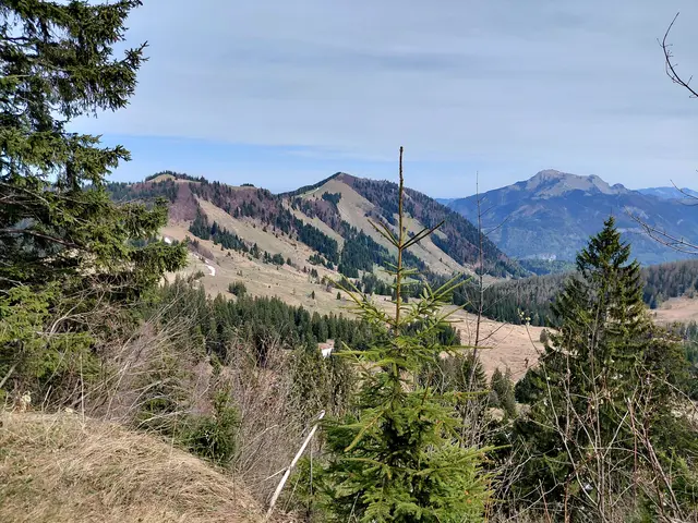 Blick auf Zwölferhorn und Schafberg  | Foto: H.Bachinger