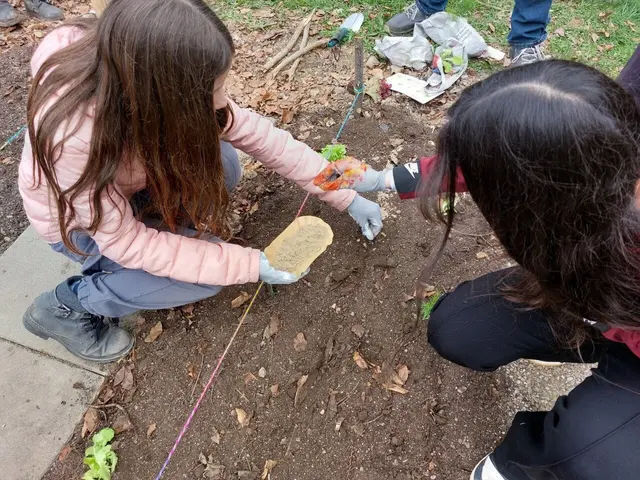 Foto: Kreativ-Musikmittelschule Kirchdorf