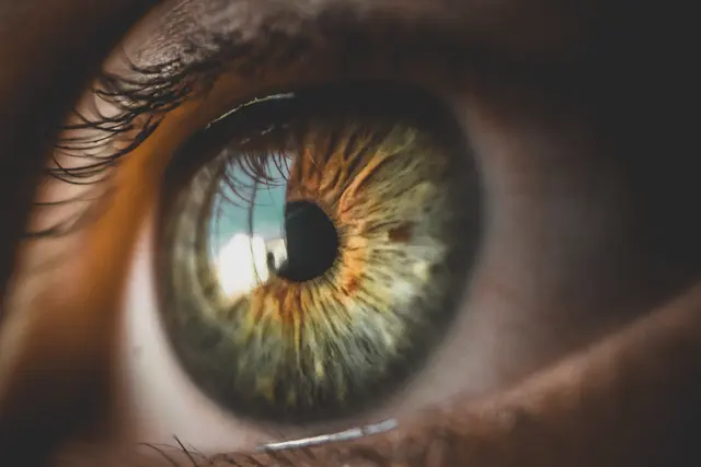 Gesunde Augen – also eine gute Sehkraft – sind im Alltag entscheidend. | Foto: Pixabay_bniique