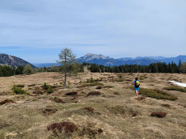 Illinger Alm  | Foto: H.Bachinger