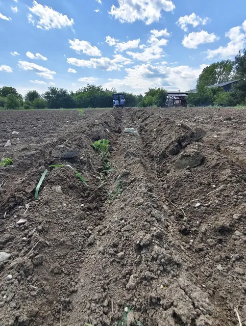 Foto: Bernhard Herics