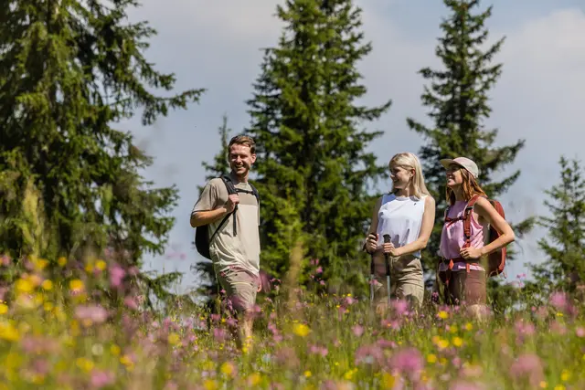 Mit über 120 bewirtschafteten Hütten entlang der Strecke prägen sie nicht nur die Landschaft, sondern auch die Identität des Weges. | Foto: SalzburgerLand Tourismus