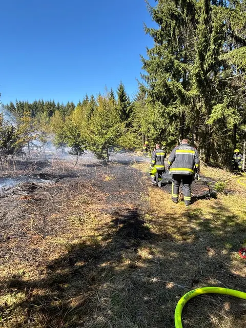 Am vergangenen Wochenende brannte etwa ein Hektar Wald in Krumbach, in der Nähe des ehemaligen Wirtshauses Höhwirt. | Foto: David Gremsl, Georg Schwarz
