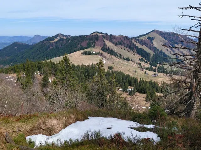 Rechte Bildseite das Zwölferhorn  | Foto: H.Bachinger