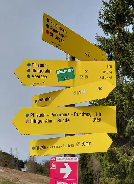 Illinger Alm Runde  | Foto: H.Bachinger