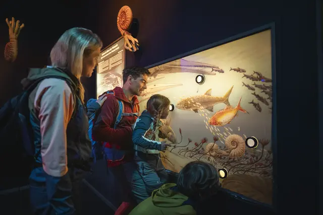 Gemeinsam auf Entdeckungsreise: Im Triassic Center erkunden Familien interaktive Schautafeln und tauchen in die faszinierende Unterwasserwelt der Trias ein. | Foto: Bergbahn Steinplatte