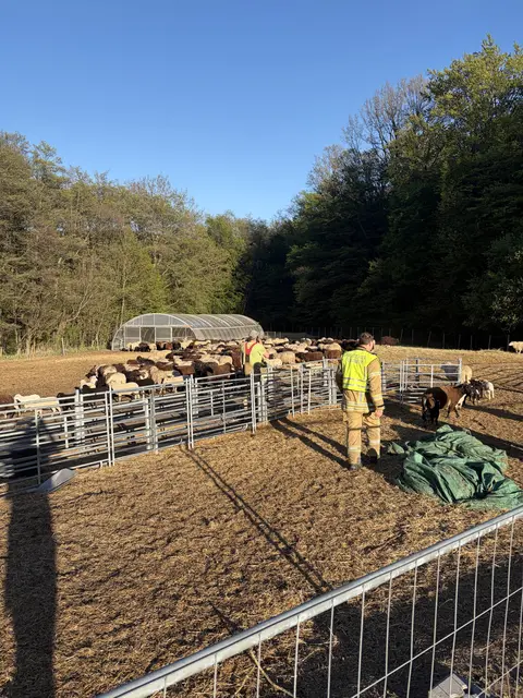 Foto: Öffentlichkeitsarbeit FF Laab im Walde / Bischof T.