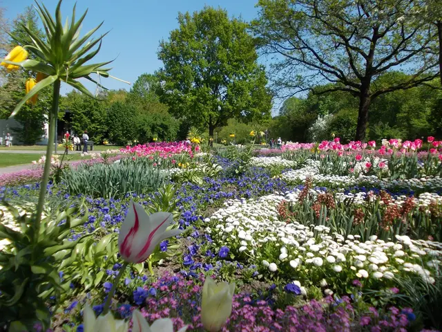 Der Kurpark in Bad Füssing. | Foto: Kur- &amp; GästeService Bad Füssing
