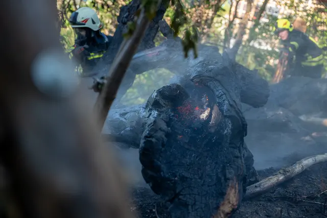 Foto: FOTOKERSCHI / MARTIN SCHARINGER